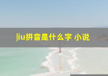 |iu拼音是什么字 小说